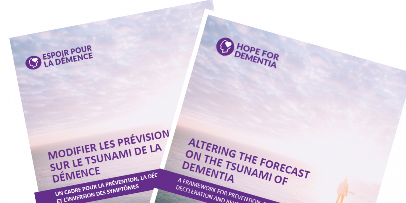 HFD Whitepaper Feature Image