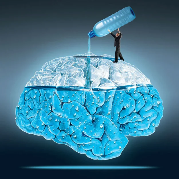 Brain-and-water_1024x1024